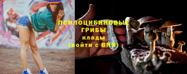 альфа пвп Горнозаводск