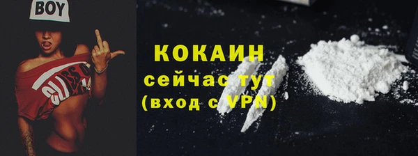 прущие крисы Горняк