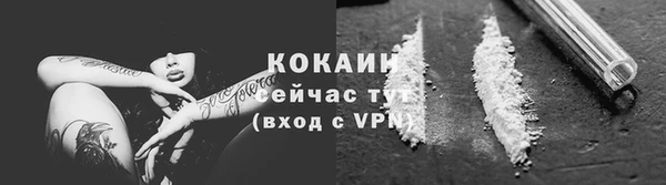 прущие крисы Горняк