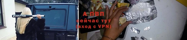 прущие крисы Горняк