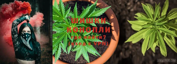 альфа пвп Горнозаводск