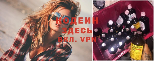 прущие крисы Горняк