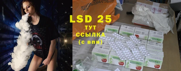 прущие крисы Горняк