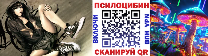 Галлюциногенные грибы Psilocybine cubensis Первоуральск